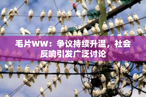 毛片WW：争议持续升温，社会反响引发广泛讨论