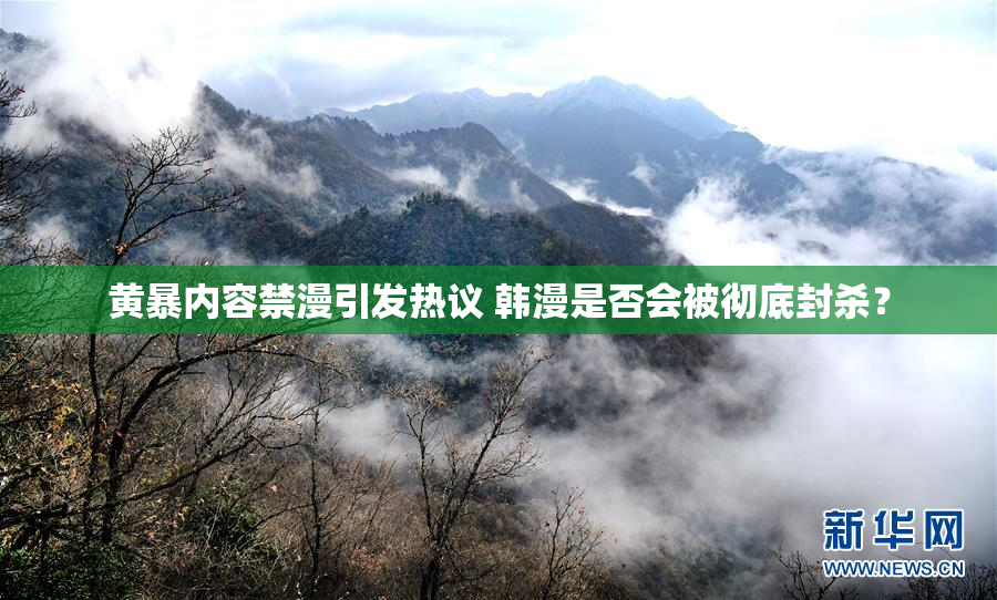 黄暴内容禁漫引发热议 韩漫是否会被彻底封杀？
