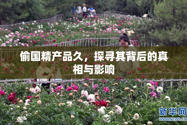 偷国精产品久，探寻其背后的真相与影响