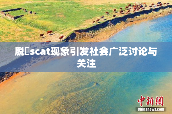 脱糞scat现象引发社会广泛讨论与关注