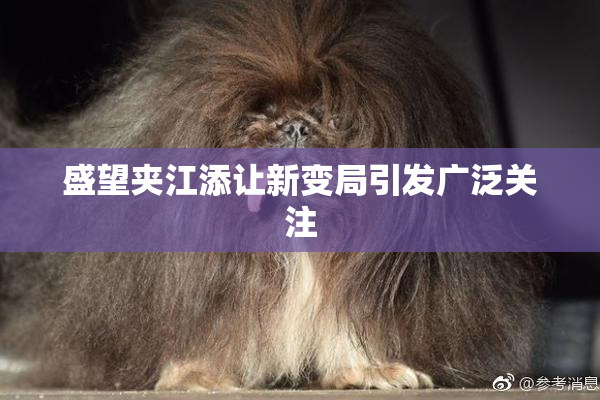 盛望夹江添让新变局引发广泛关注