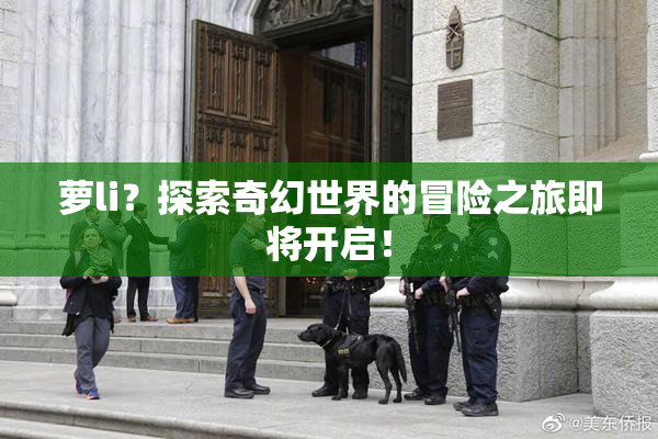 萝li？探索奇幻世界的冒险之旅即将开启！