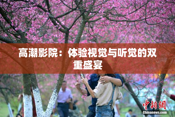 高潮影院：体验视觉与听觉的双重盛宴