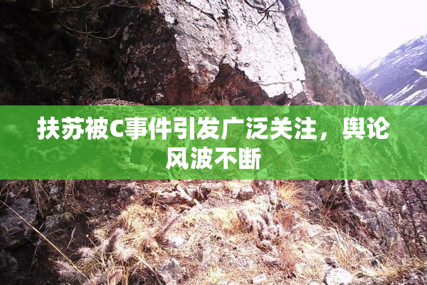 扶苏被C事件引发广泛关注，舆论风波不断