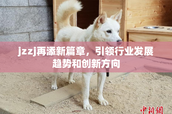 jzzj再添新篇章，引领行业发展趋势和创新方向