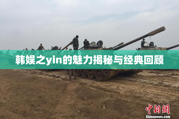 韩娱之yin的魅力揭秘与经典回顾