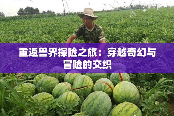 重返兽界探险之旅：穿越奇幻与冒险的交织
