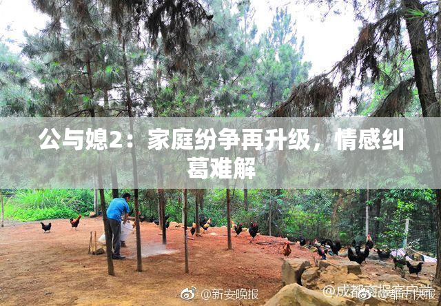 公与媳2：家庭纷争再升级，情感纠葛难解