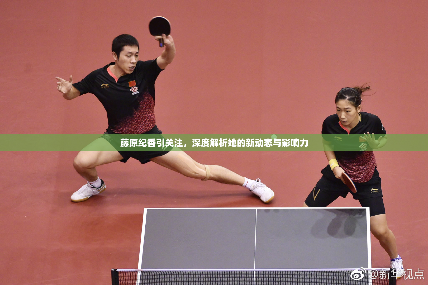 藤原纪香引关注，深度解析她的新动态与影响力