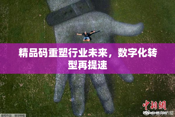 精品码重塑行业未来，数字化转型再提速