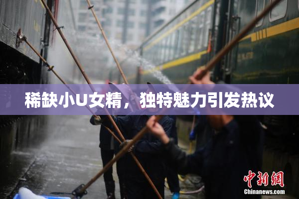 稀缺小U女精，独特魅力引发热议