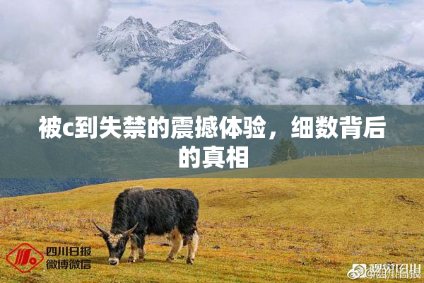 被c到失禁的震撼体验，细数背后的真相