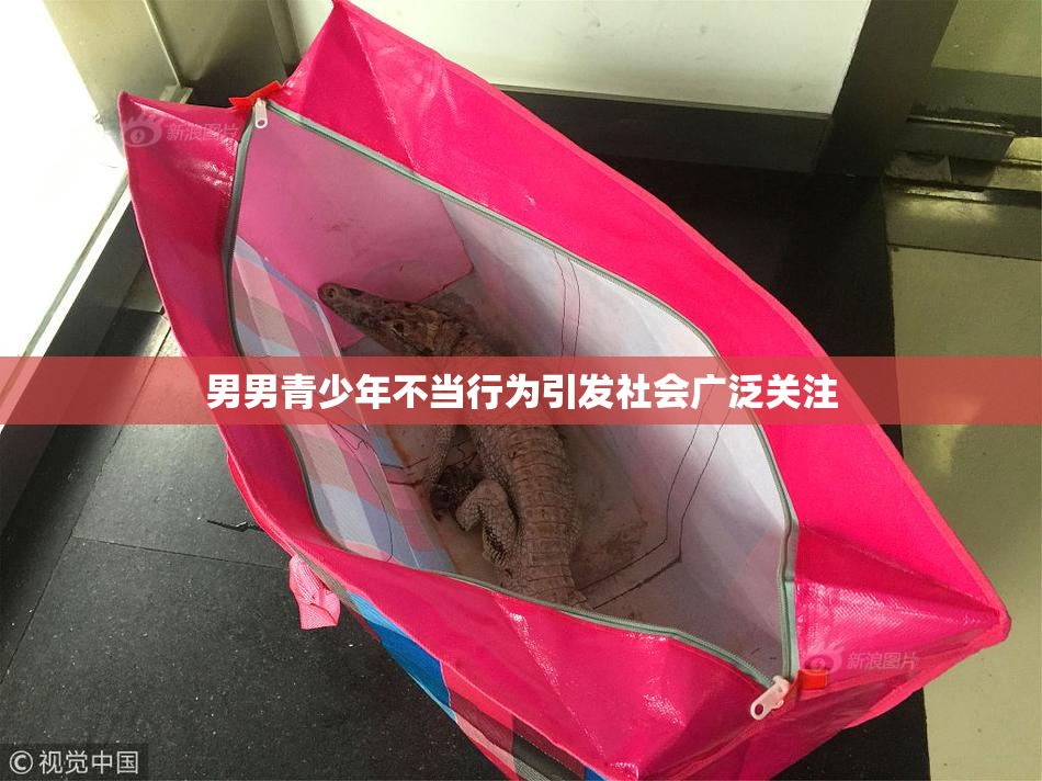 男男青少年不当行为引发社会广泛关注