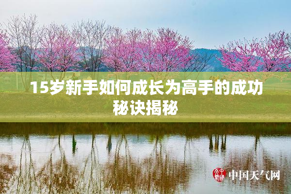 15岁新手如何成长为高手的成功秘诀揭秘