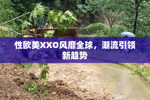 性欧美XXO风靡全球，潮流引领新趋势
