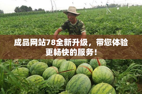 成品网站78全新升级，带您体验更畅快的服务！