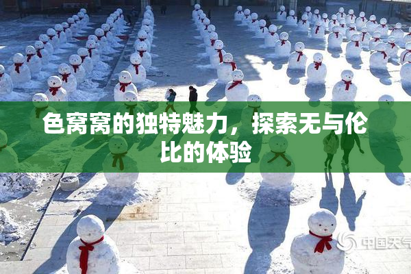 色窝窝的独特魅力，探索无与伦比的体验