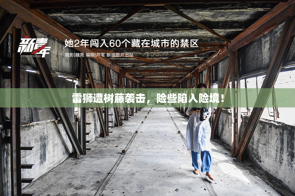 雷狮遭树藤袭击，险些陷入险境！
