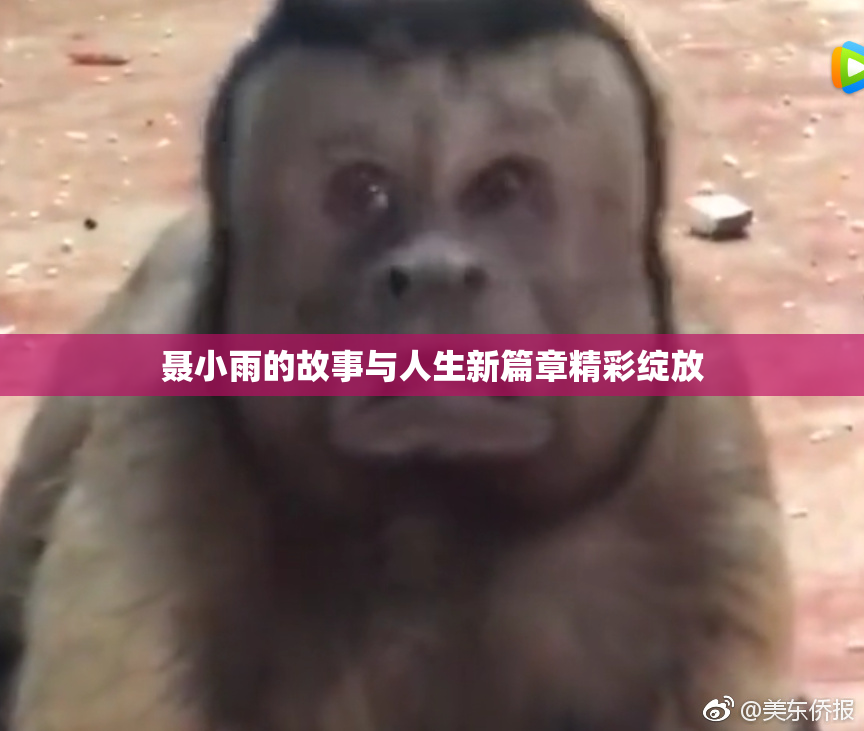 聂小雨的故事与人生新篇章精彩绽放