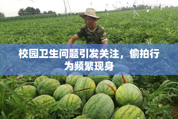 校园卫生问题引发关注，偷拍行为频繁现身