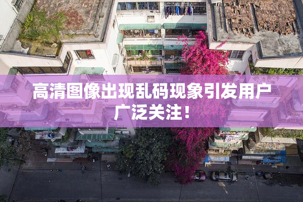 高清图像出现乱码现象引发用户广泛关注！