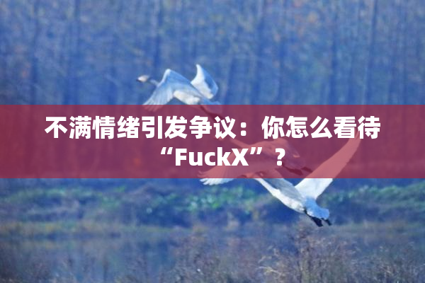 不满情绪引发争议：你怎么看待“FuckX”？