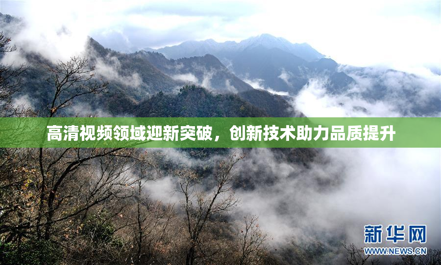 高清视频领域迎新突破，创新技术助力品质提升