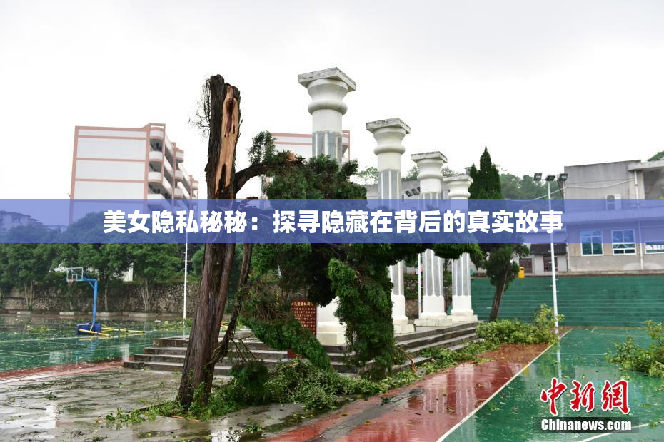 美女隐私秘秘：探寻隐藏在背后的真实故事