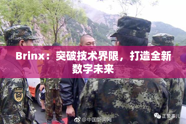 Brinx：突破技术界限，打造全新数字未来