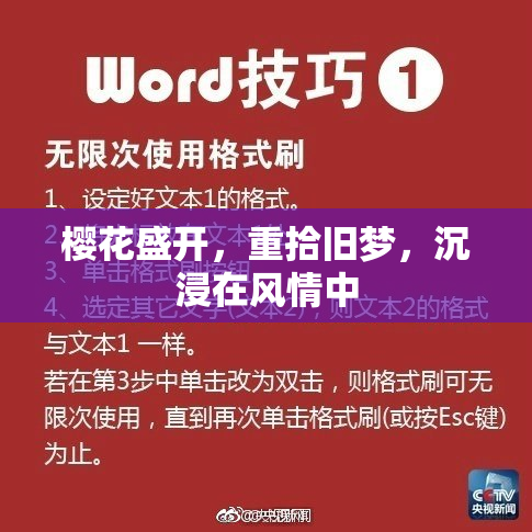 樱花盛开，重拾旧梦，沉浸在风情中