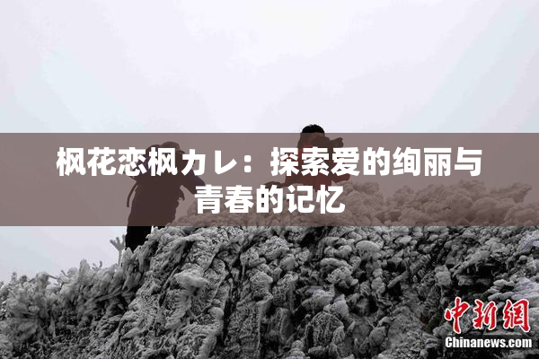 枫花恋枫カレ：探索爱的绚丽与青春的记忆