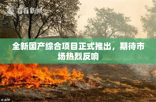 全新国产综合项目正式推出，期待市场热烈反响