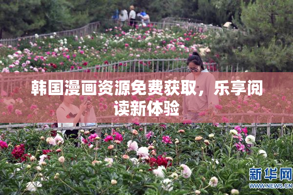 韩国漫画资源免费获取，乐享阅读新体验