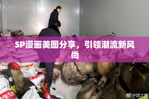 SP漫画美图分享，引领潮流新风尚