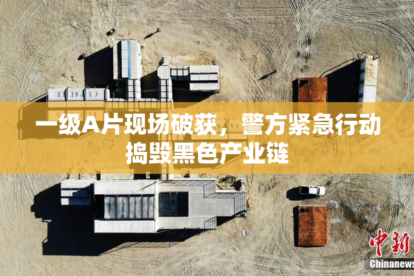 一级A片现场破获，警方紧急行动捣毁黑色产业链