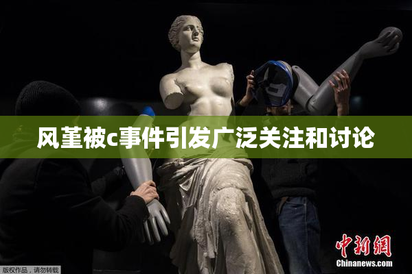 风堇被c事件引发广泛关注和讨论