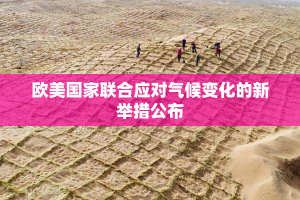 欧美国家联合应对气候变化的新举措公布