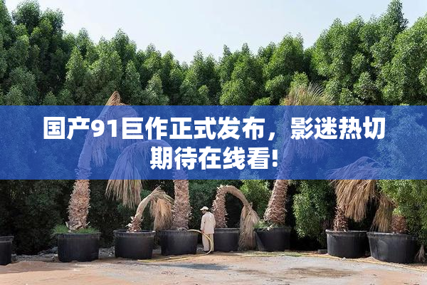 国产91巨作正式发布，影迷热切期待在线看!