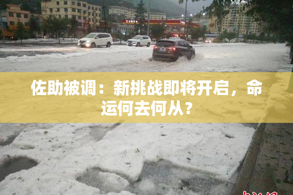 佐助被调：新挑战即将开启，命运何去何从？