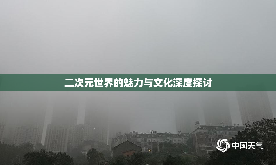 二次元世界的魅力与文化深度探讨