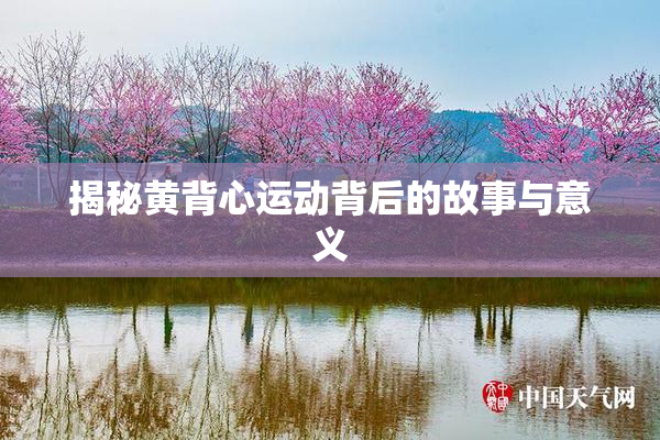 揭秘黄背心运动背后的故事与意义