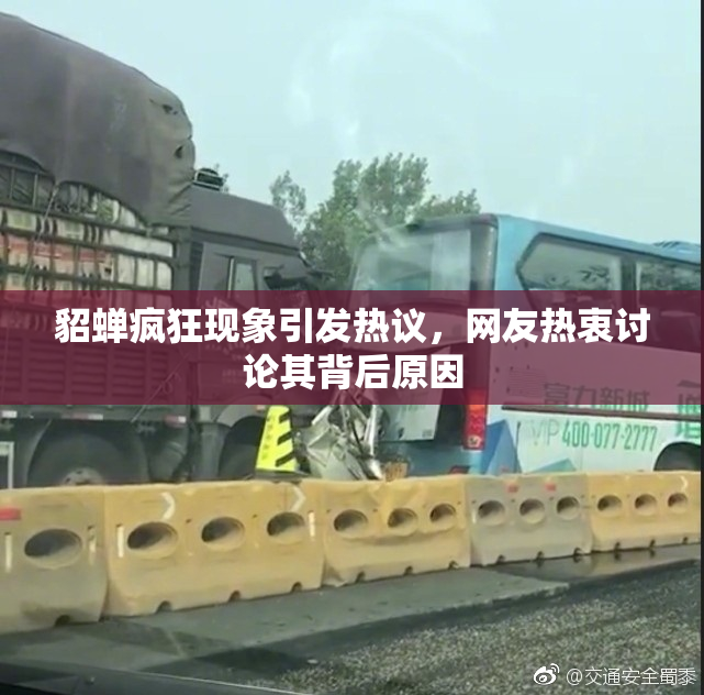 貂蝉疯狂现象引发热议，网友热衷讨论其背后原因