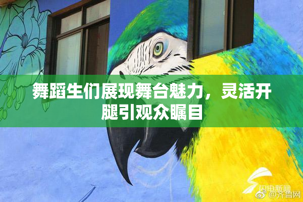 舞蹈生们展现舞台魅力，灵活开腿引观众瞩目