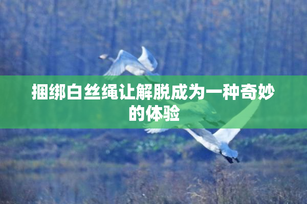 捆绑白丝绳让解脱成为一种奇妙的体验