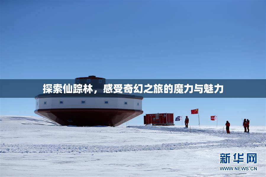 探索仙踪林，感受奇幻之旅的魔力与魅力