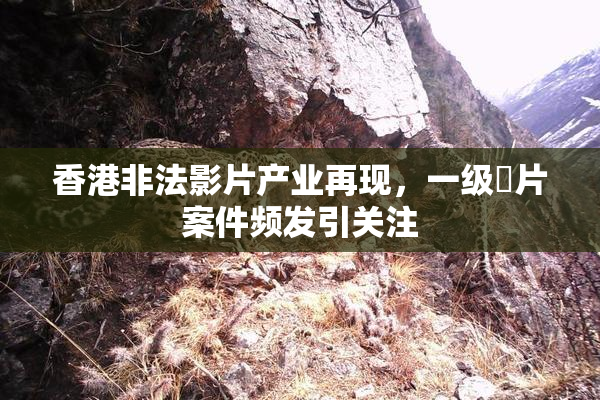 香港非法影片产业再现，一级婬片案件频发引关注