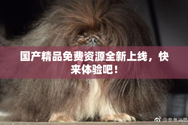国产精品免费资源全新上线，快来体验吧！