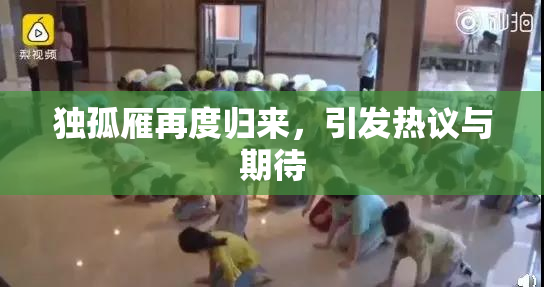 独孤雁再度归来，引发热议与期待