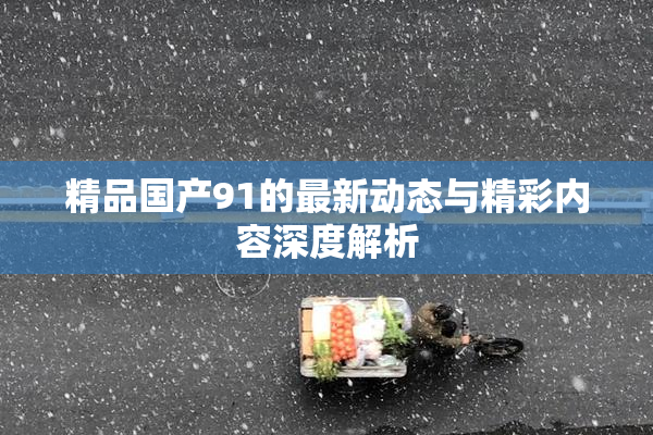 精品国产91的最新动态与精彩内容深度解析