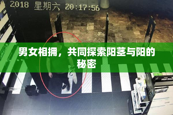 男女相拥，共同探索阳茎与阳的秘密
